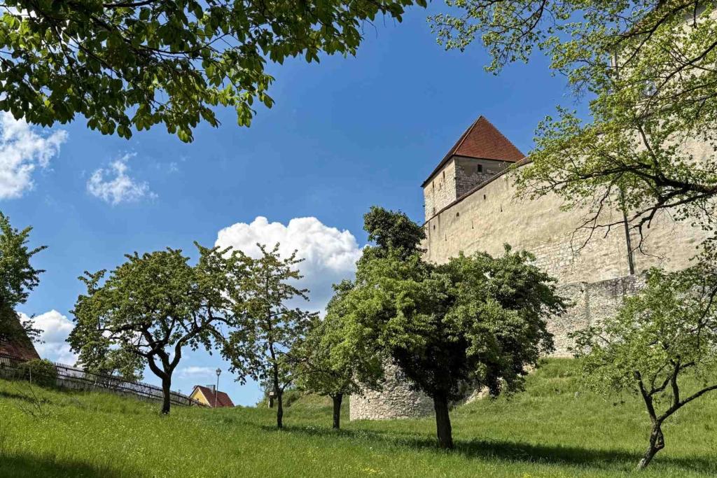 Burg Harburg Panoramaweg
