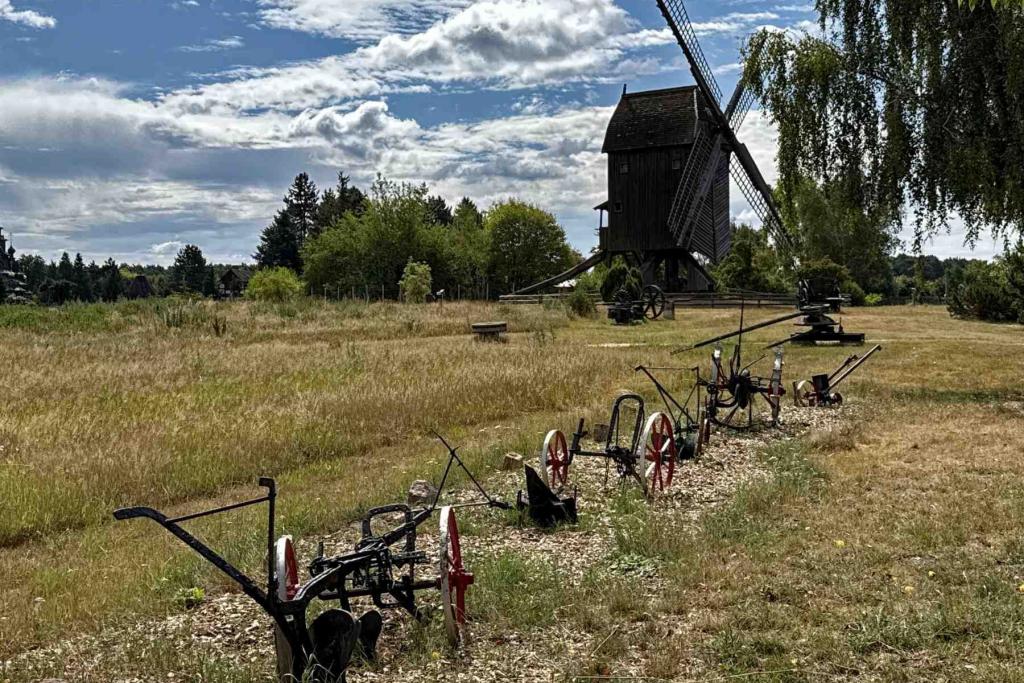 Deutsche Bockwindmühle Mühlenmuseum Gifhorn