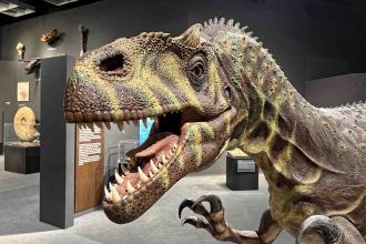 Münster LWL Naturkundemuseum