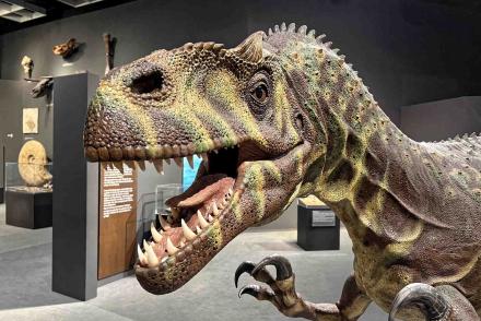 Münster LWL Naturkundemuseum