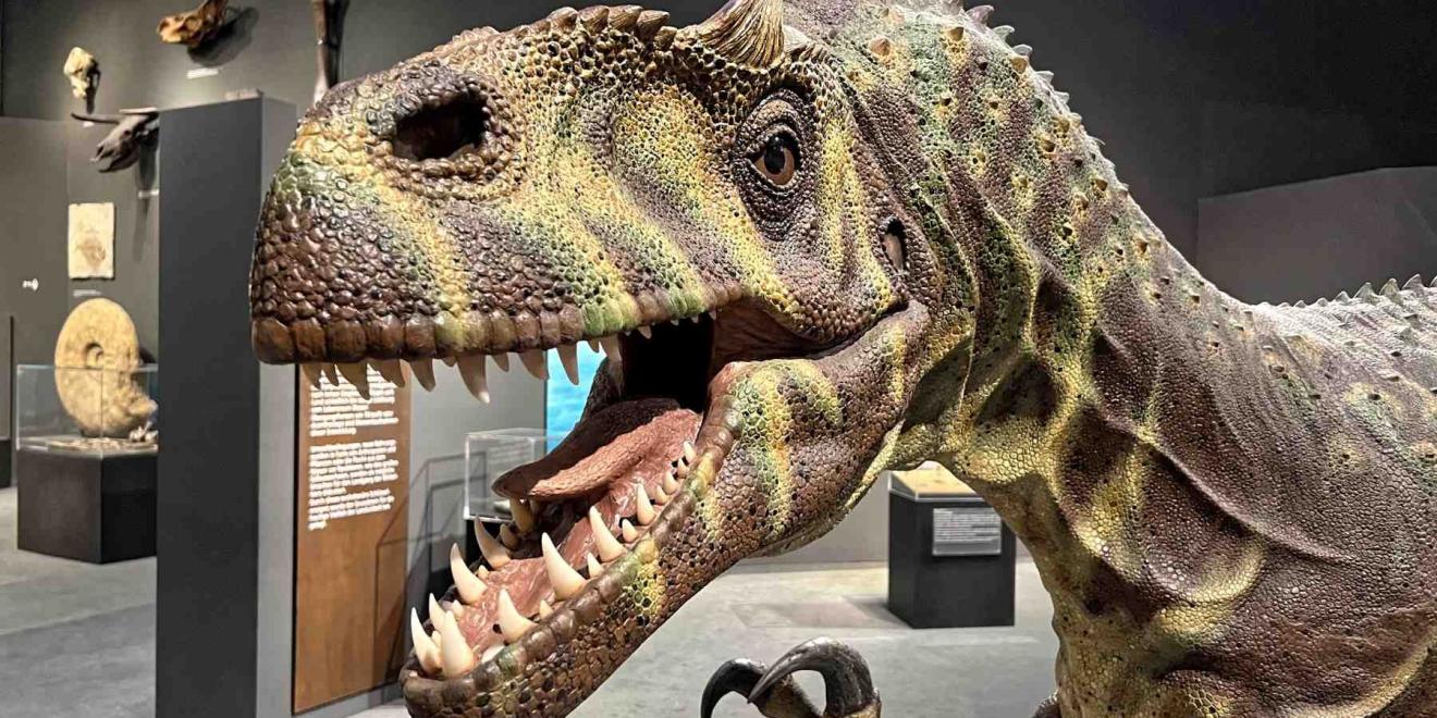 Münster LWL Naturkundemuseum