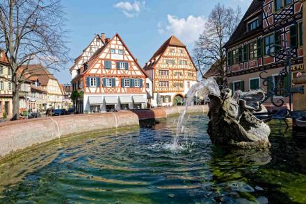 Ladenburg Marienbrunnen Marktplatz