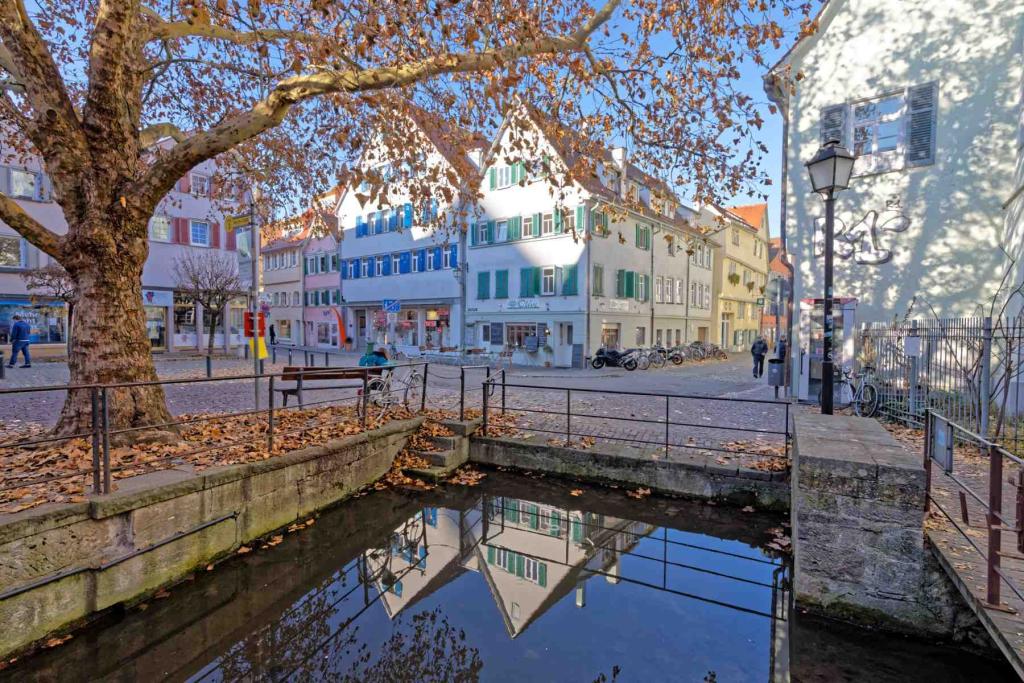 Ammer Brücke Tübingen