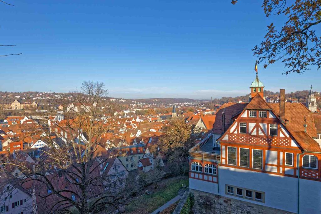 Blick vom Schloss auf Tübingen