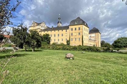 Coswig Schloss