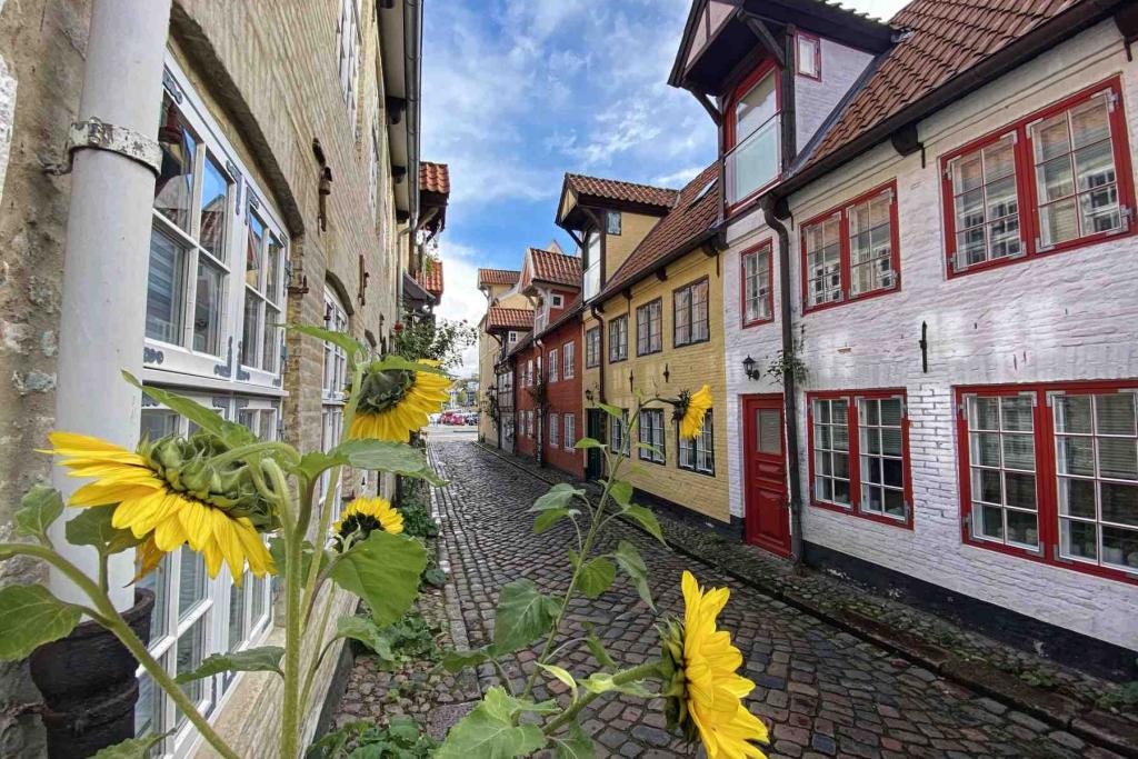 Olaf Samson Gang Flensburg