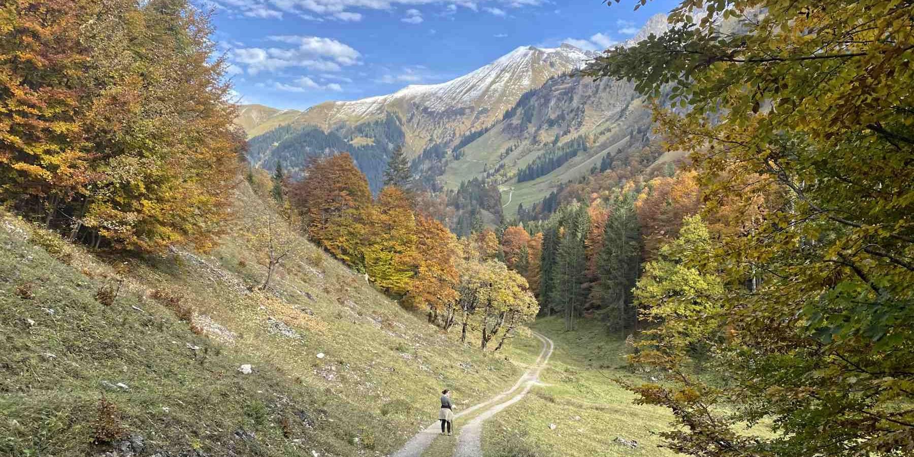 Abstieg Vorderberghöfle