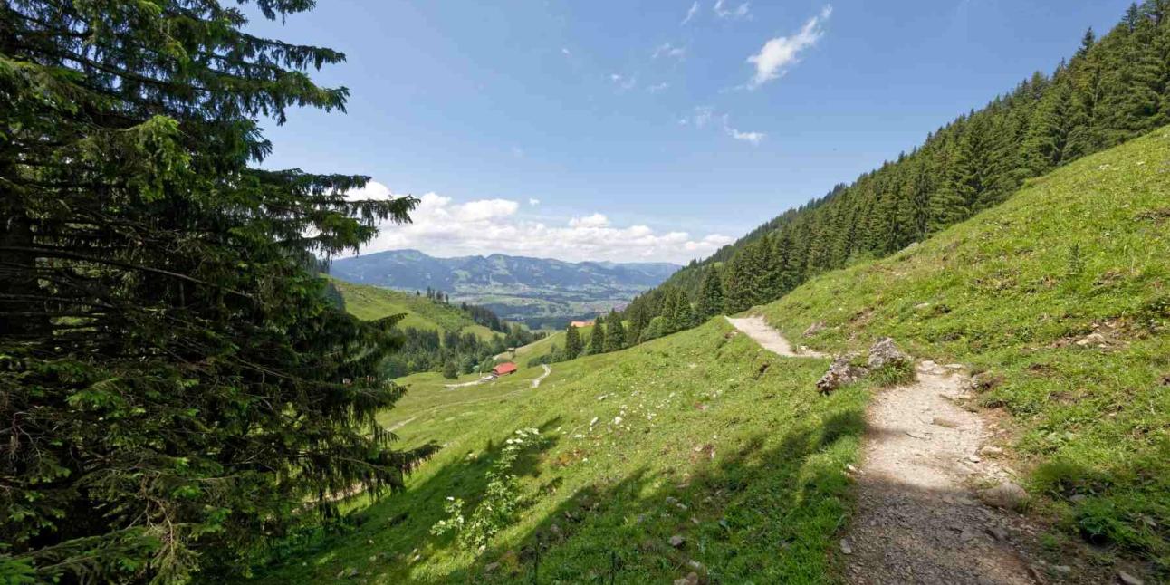 Wanderung Gaisalpe Almwiese