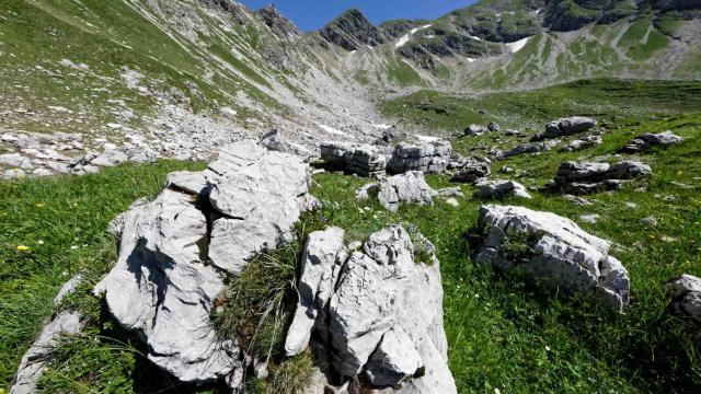 Weg Höfatsblick Geißfußsattel