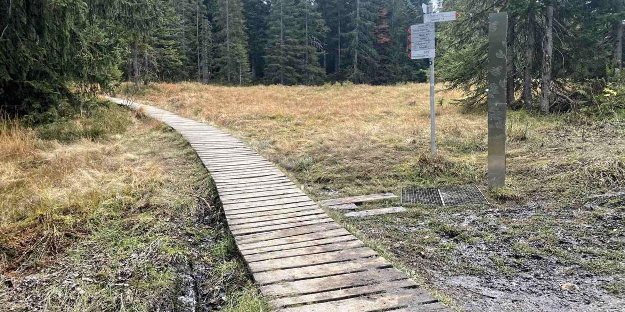 Wanderung Soellereck Bohlenweg Hühnermoos