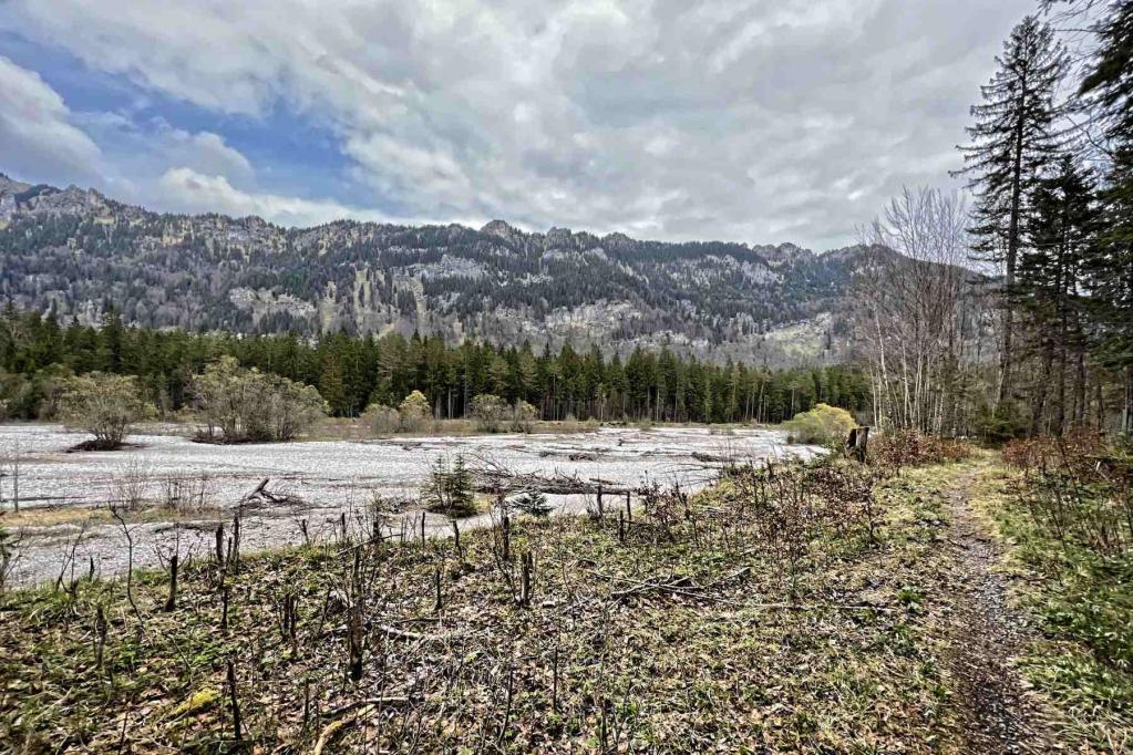 Ammergauer Alpen Elmaugriess