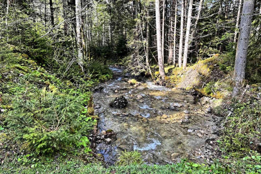 Griesen Schwarzenbach