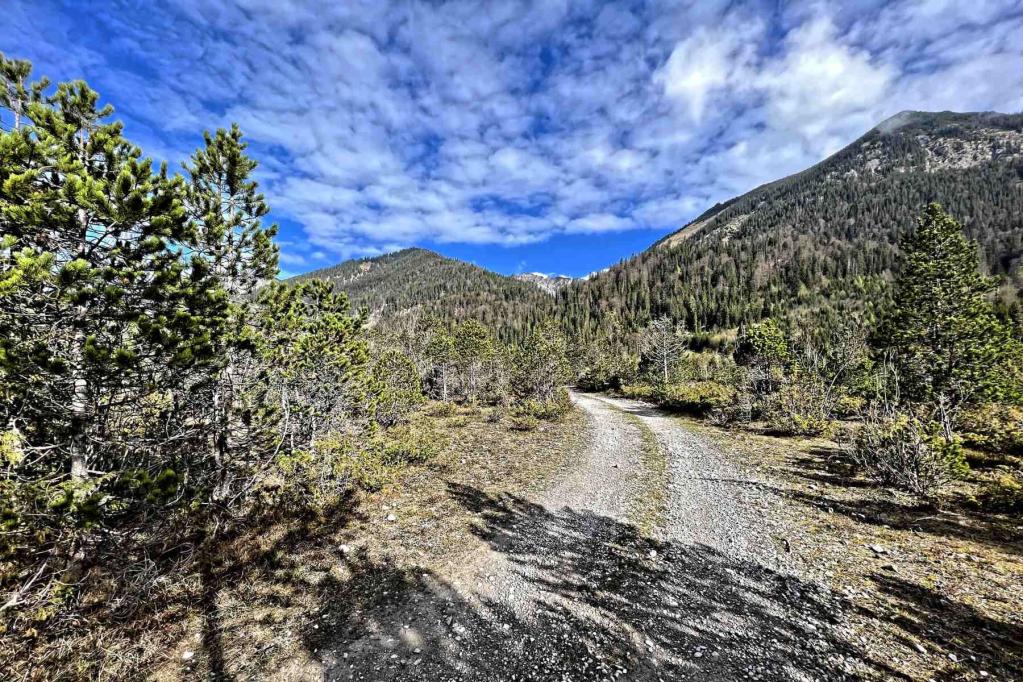 Wegabschnitt bei Griesen