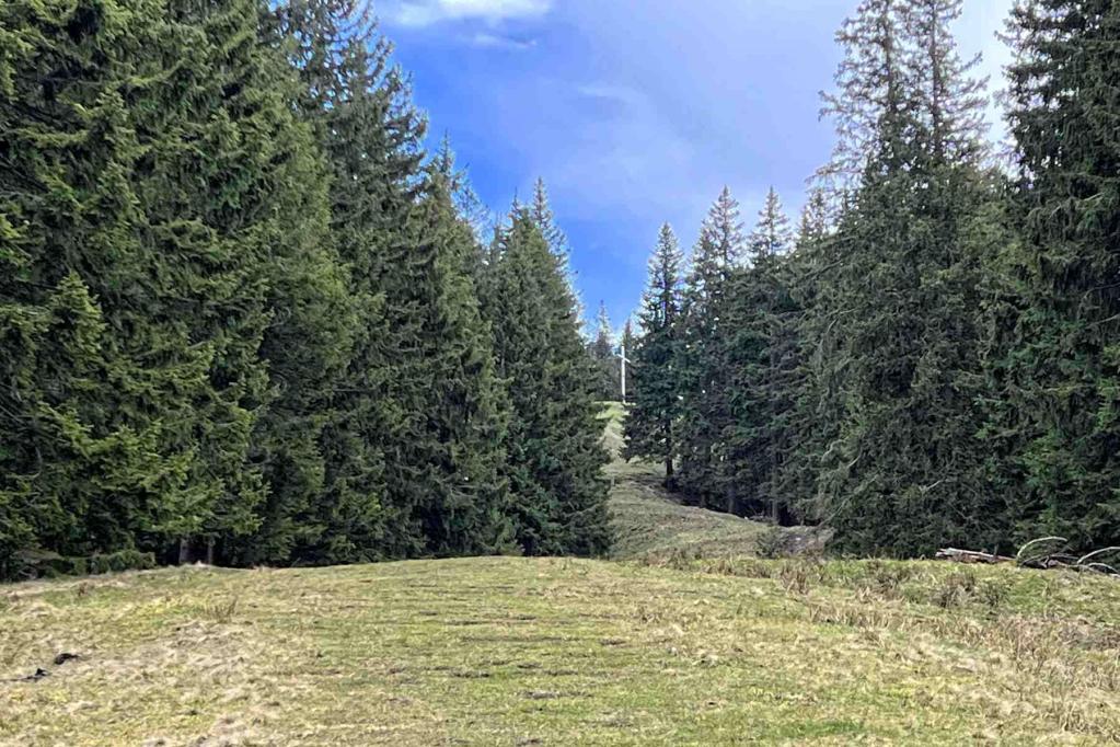Ammergauer Alpen Aufacker Gipfelkreuz