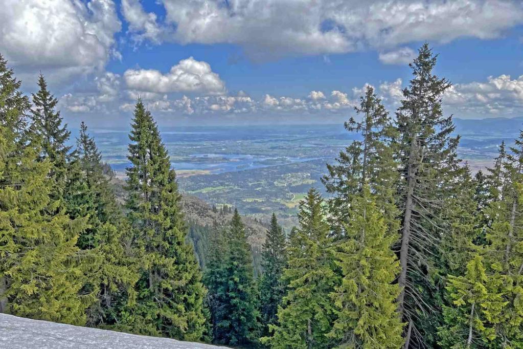 Stierkopf Blick zum Staffelsee