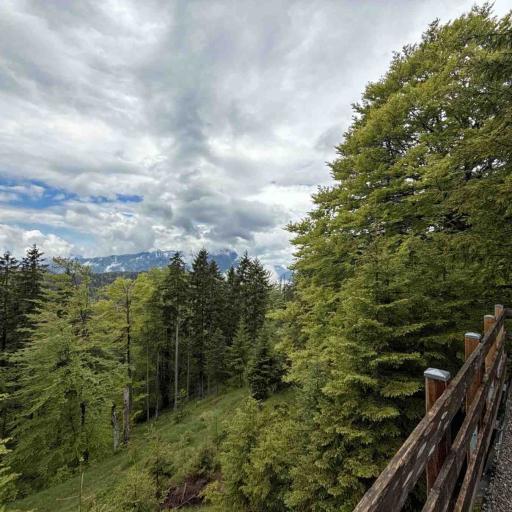 Altlacher Hochkopf Wanderung