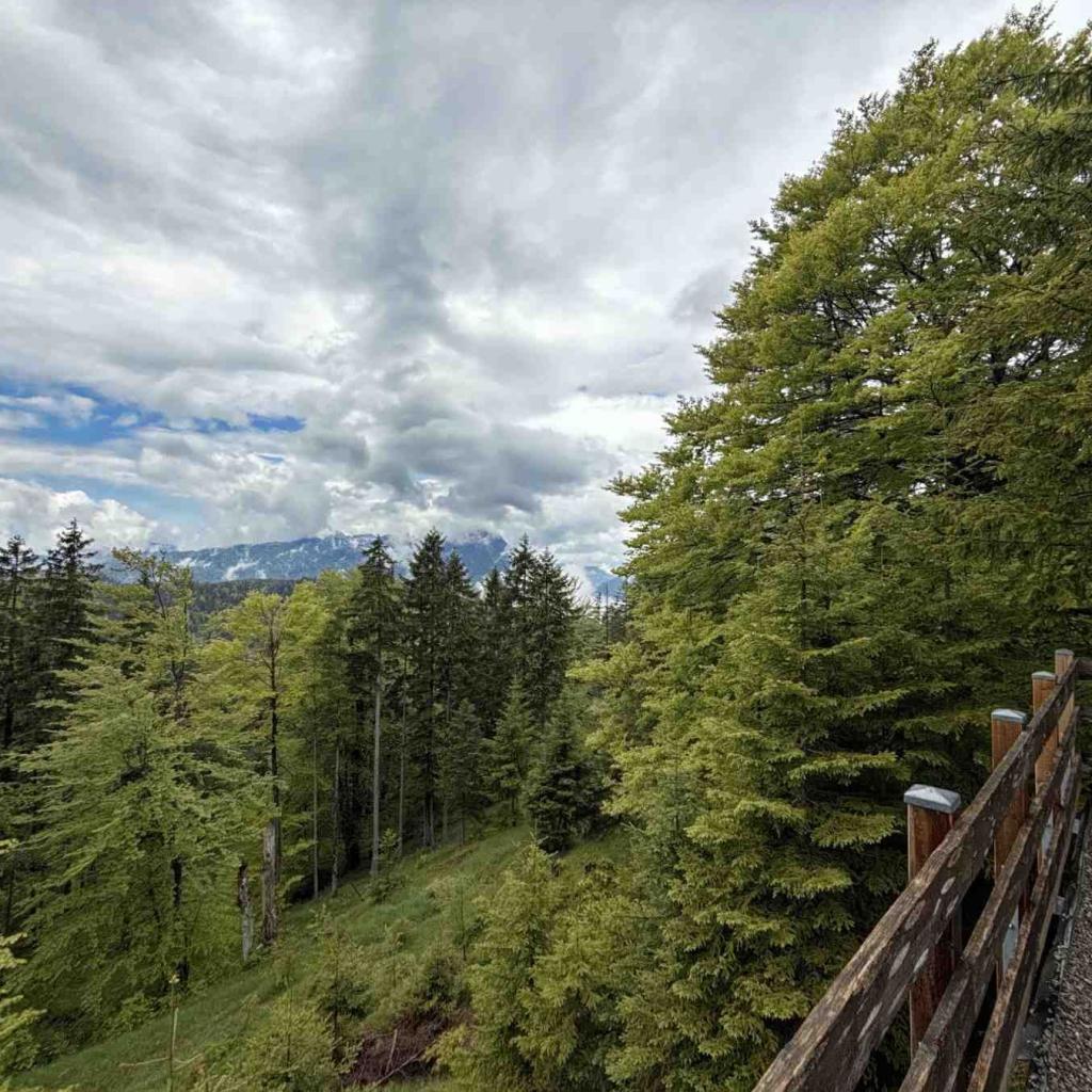 Altlacher Hochkopf Wanderung