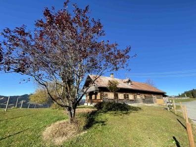 Bergschauweg Kleinwalsertal