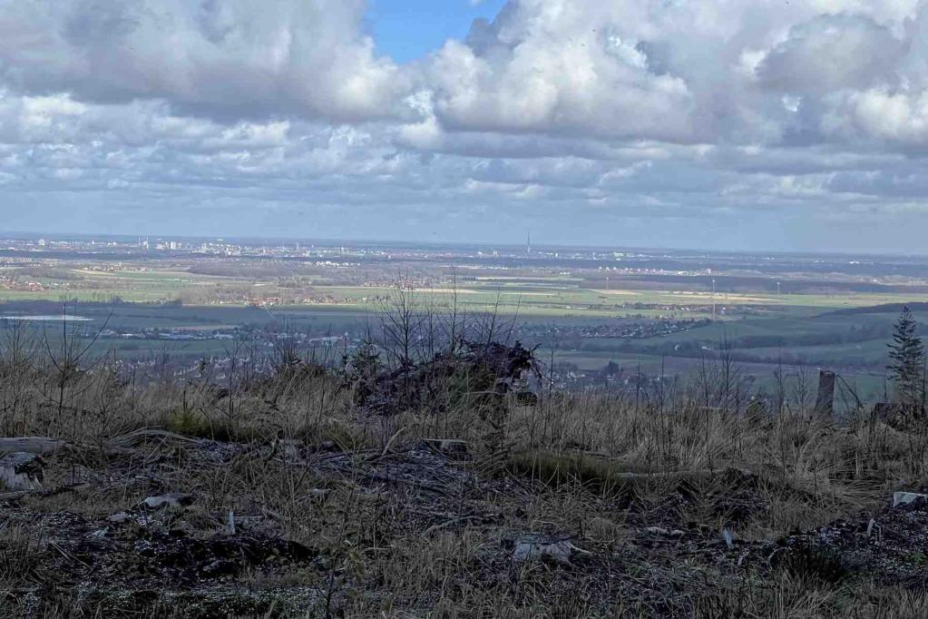 Ausblick Streitbuche Richtung Hannover