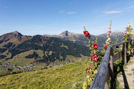 Wanderung Kuhgehrenspitze Kanzelwand