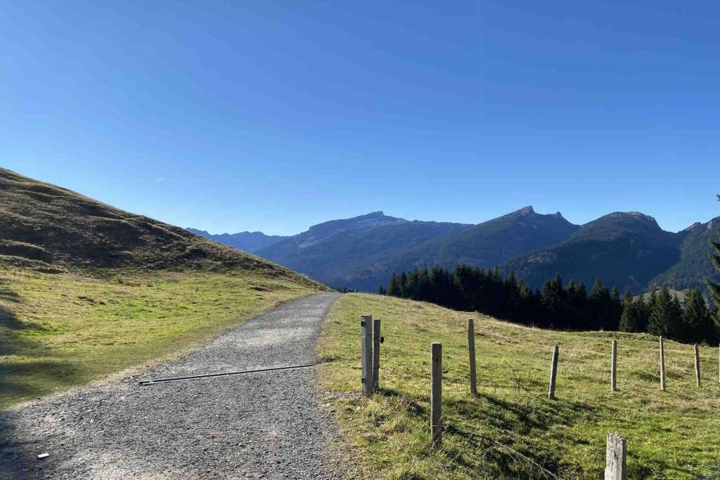 Bergschauweg Söllereck Riezlern