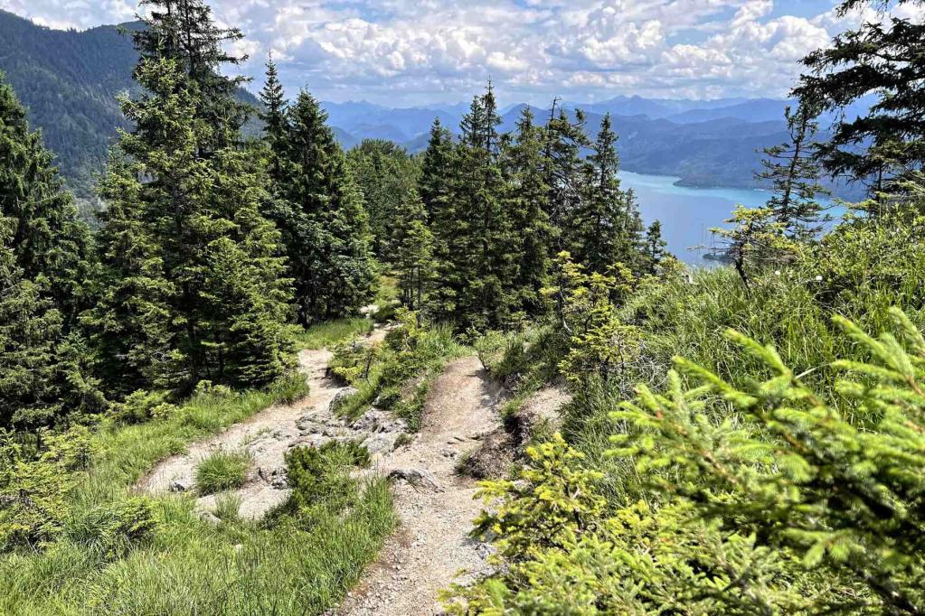 Abstieg Heimgarten Walchensee