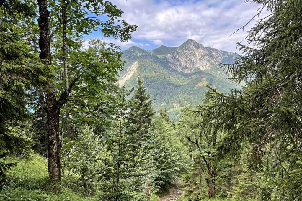 Jochbergsteig Blick zum Herzogstand