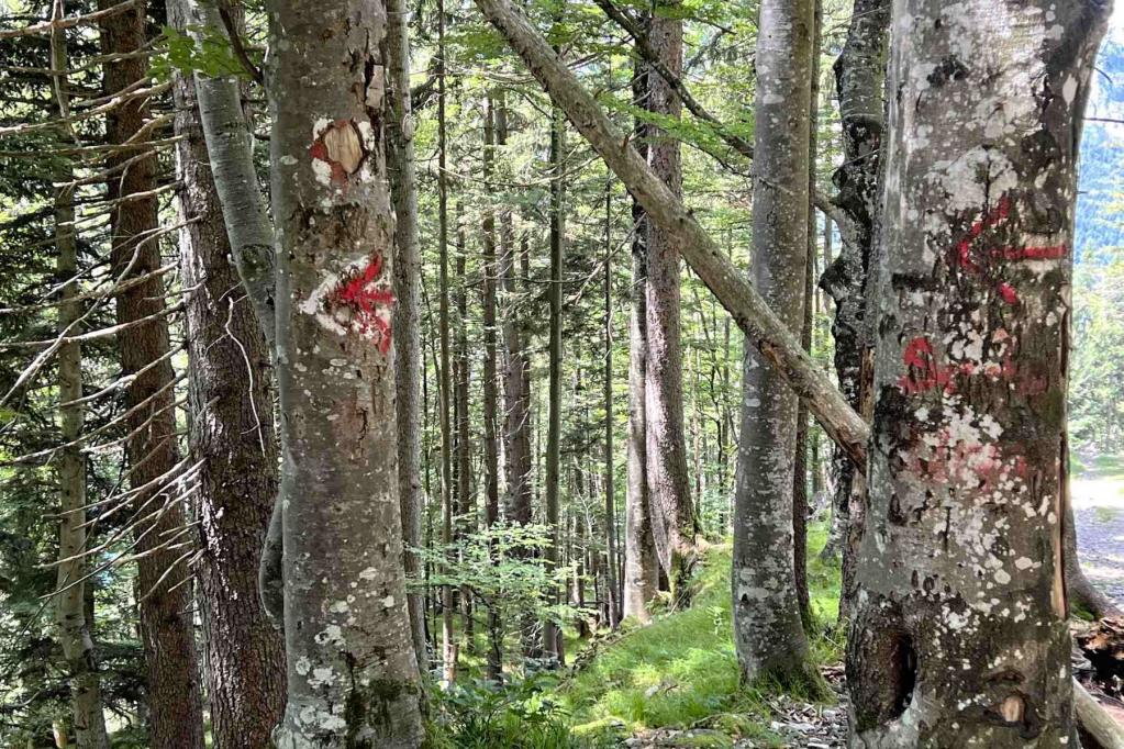 Pfeilwegweiser Abstieg nach Urfeld
