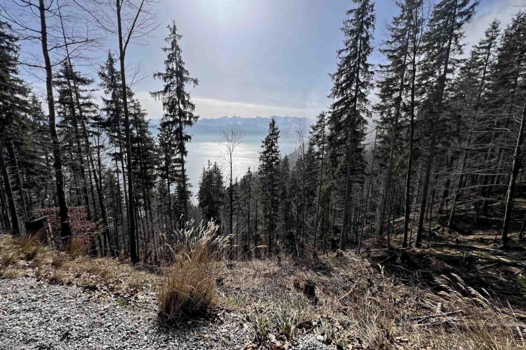 Maximilianweg Walchenseeblick