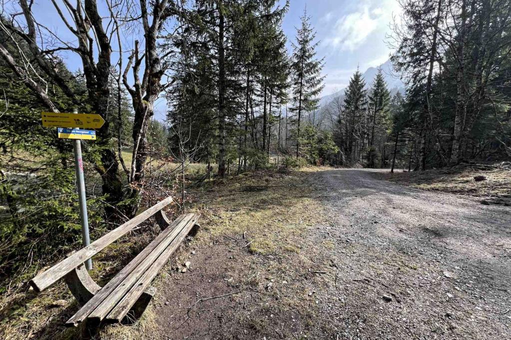 Abzweig Jocher Höhenweg