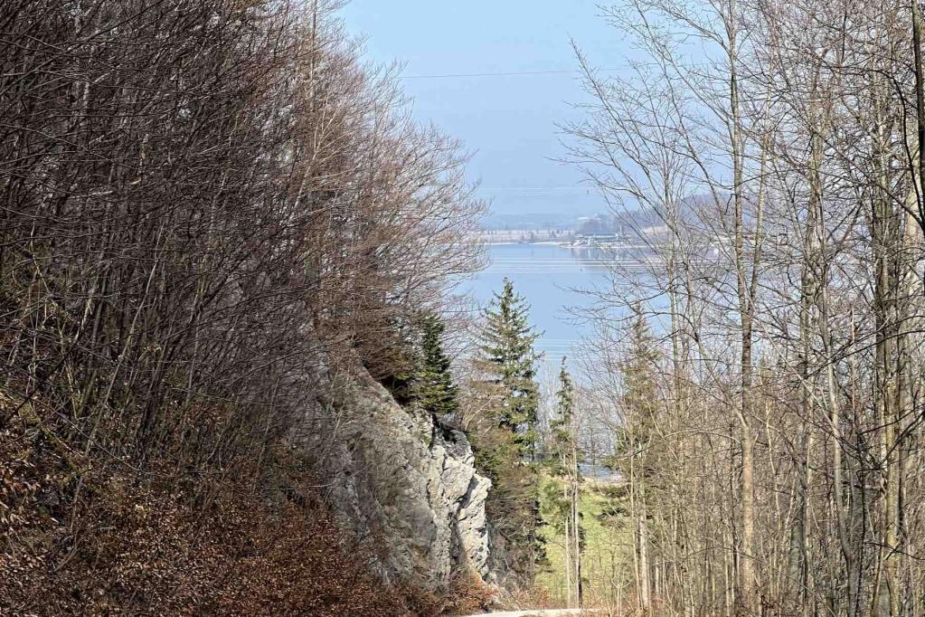 Abstieg Jocher Höhenweg Blick Kochelsee