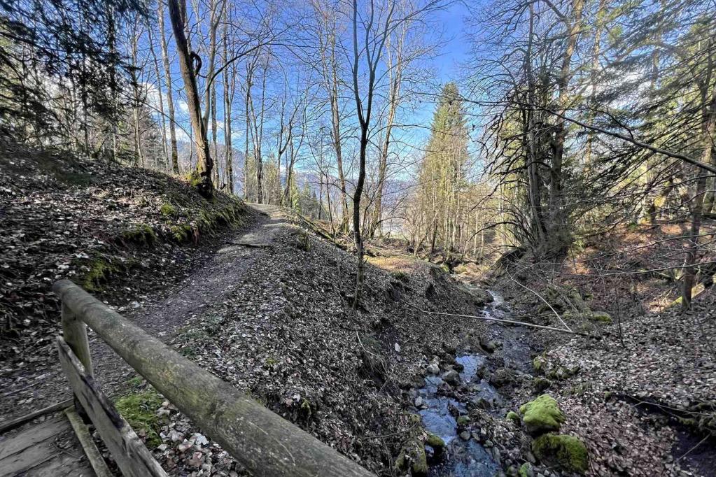 Wanderweg Bobbahn Kochelbergalm