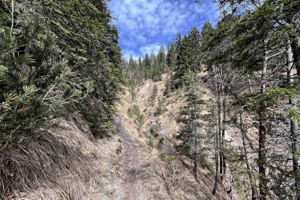 Wanderweg Aufstieg Wank