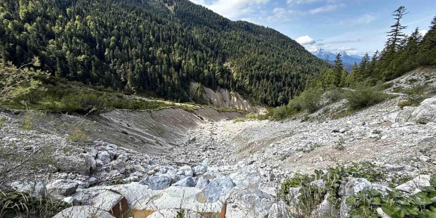 Abstieg Forststraße Seinsbachtal